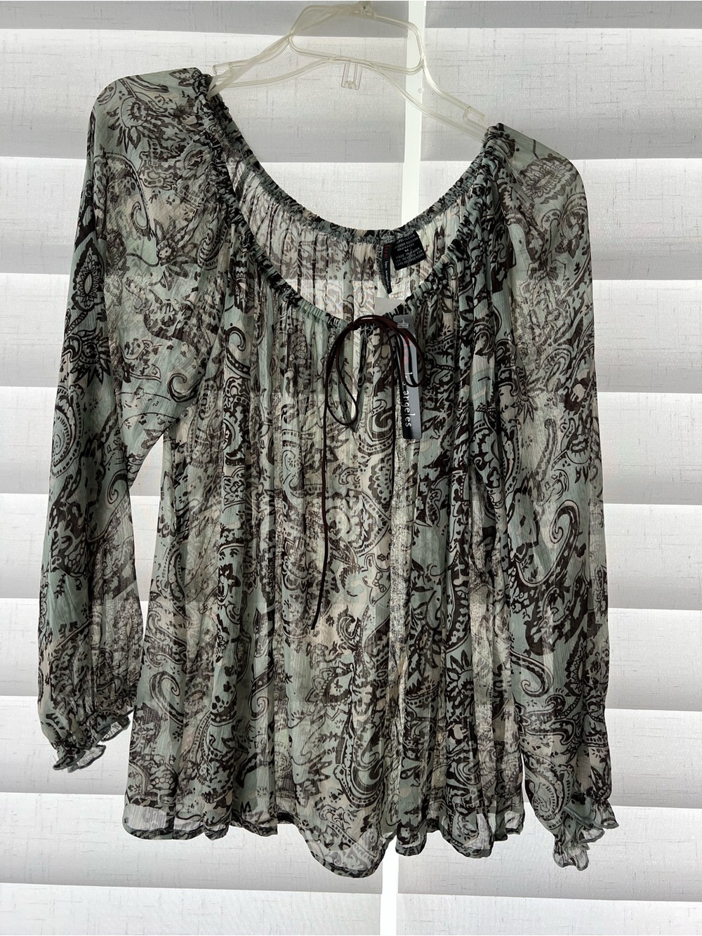 Fire Los Angeles Sheer Paisley Peasant Blouse in Sage and Brown